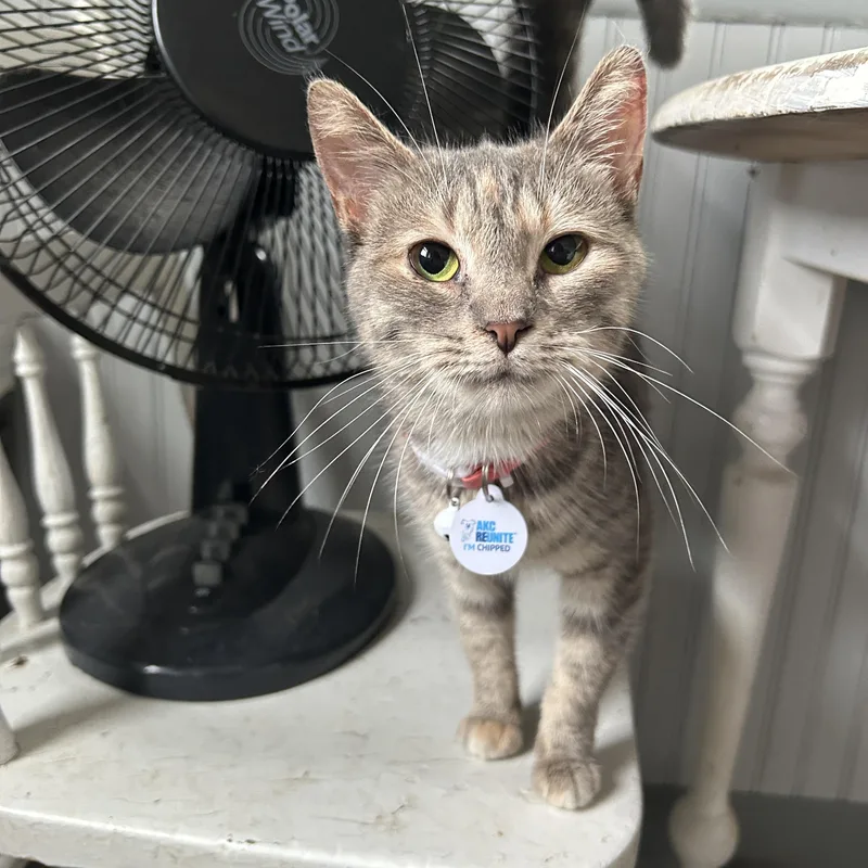 Smuckers thumbnail 2