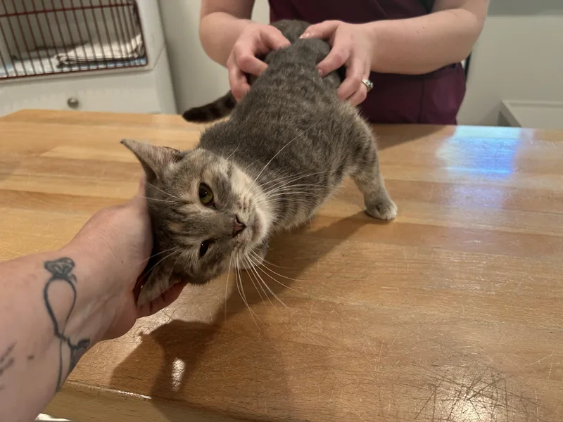 Smuckers thumbnail 5