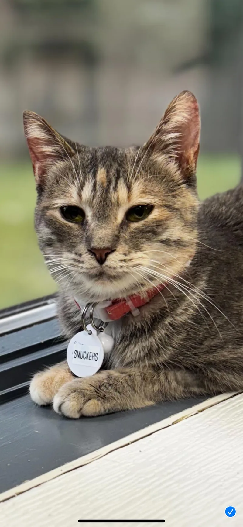 Smuckers thumbnail 6