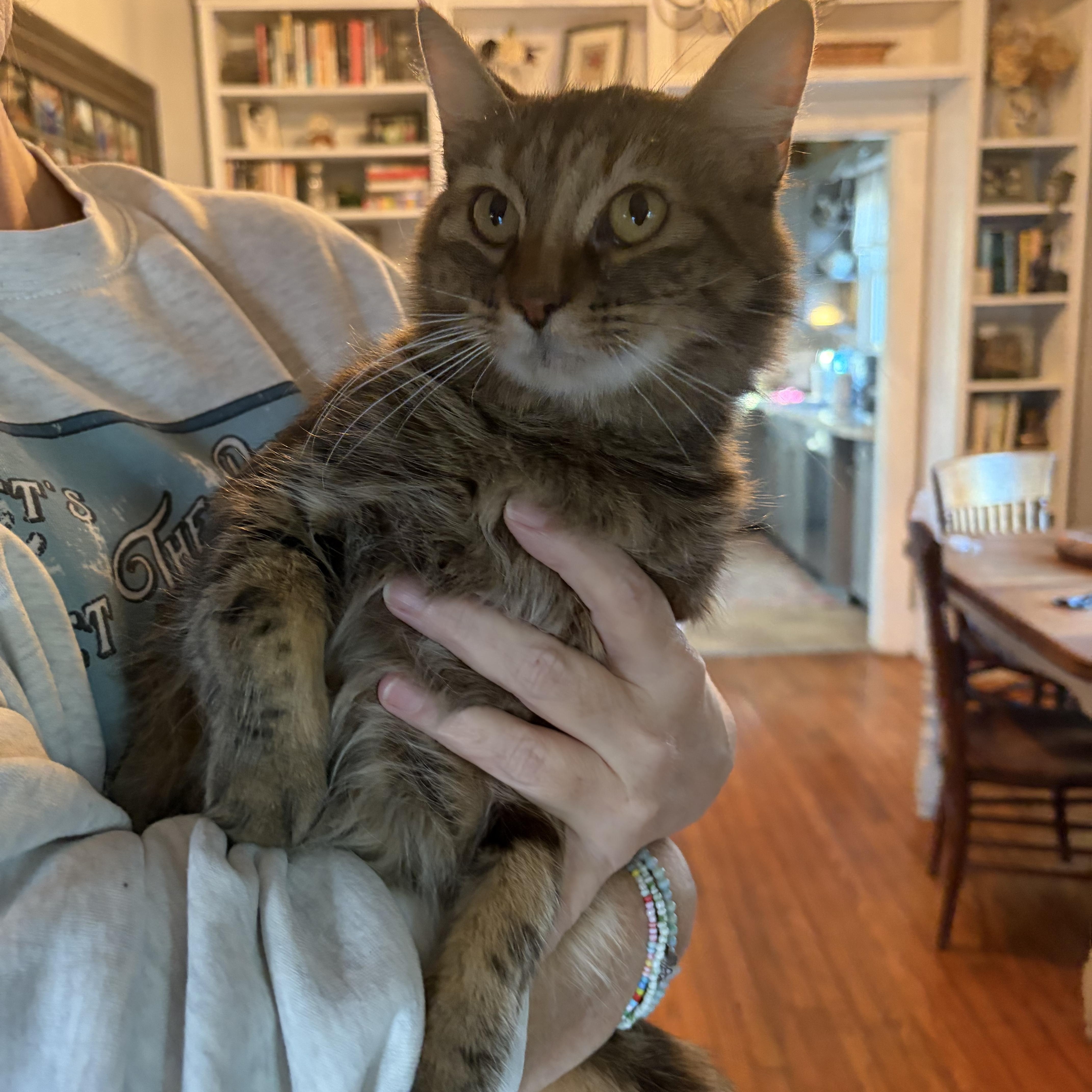 Cass Elliot thumbnail 3