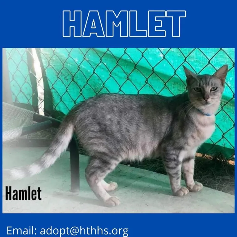 Hamlet