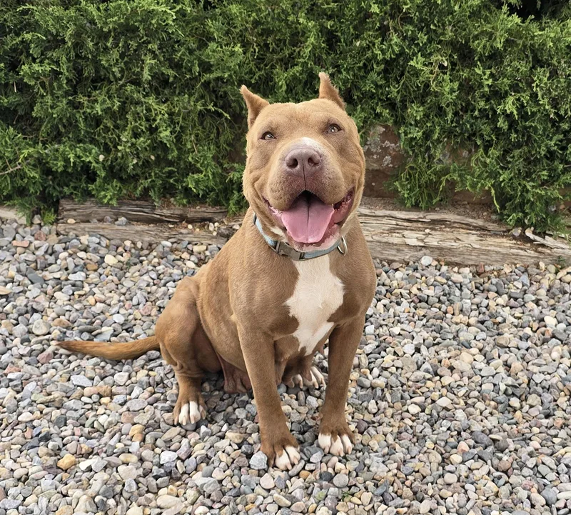 Charming Ms Chiara ~ thumbnail 2