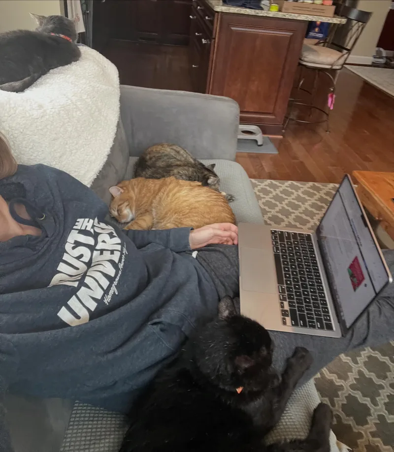 Laurence thumbnail 3