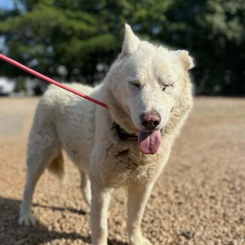 Salt Water thumbnail 2