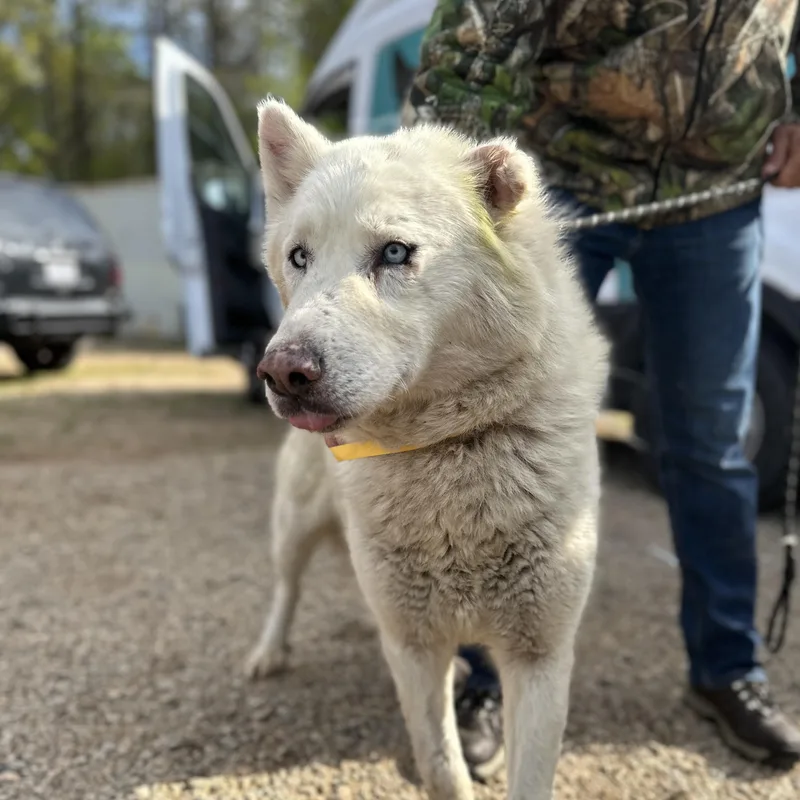 Salt Water thumbnail 3