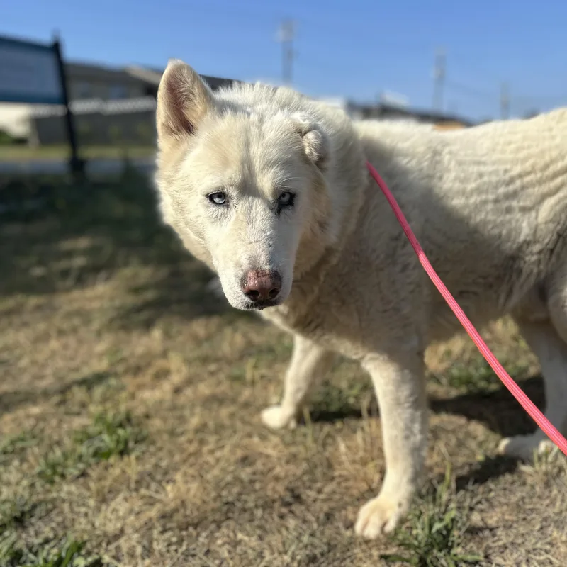 Salt Water thumbnail 6