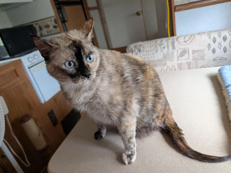 Luna