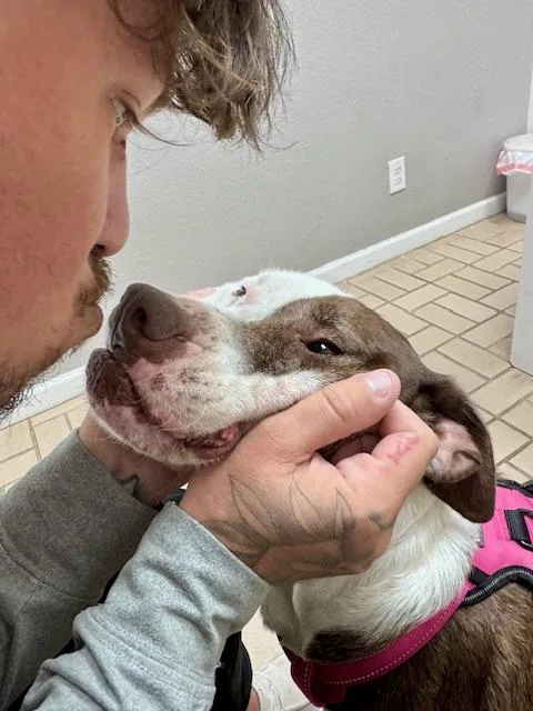 Stella Mae thumbnail 2
