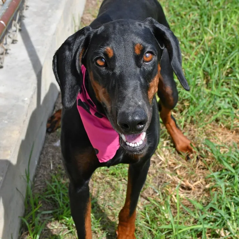 Gretchen thumbnail 3