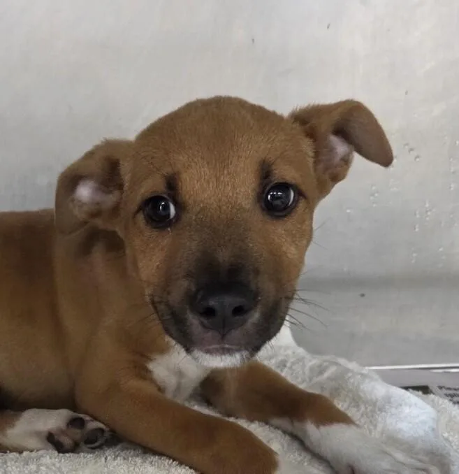 Baby Mars