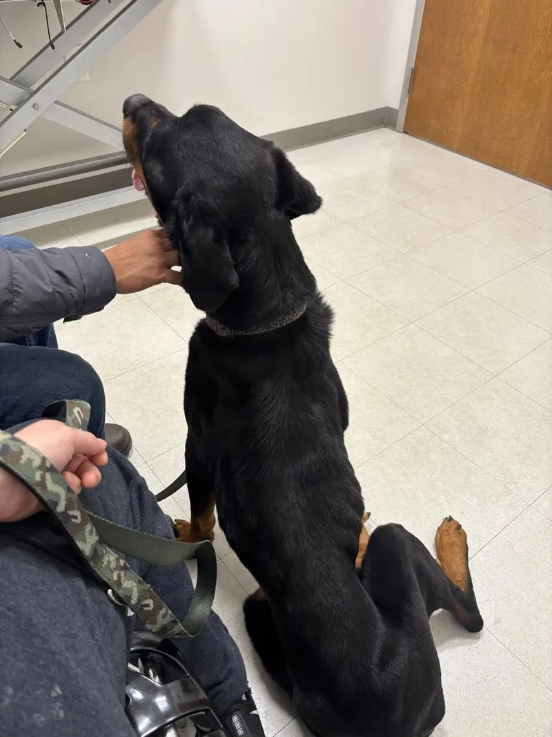 Duke Kirby thumbnail 2