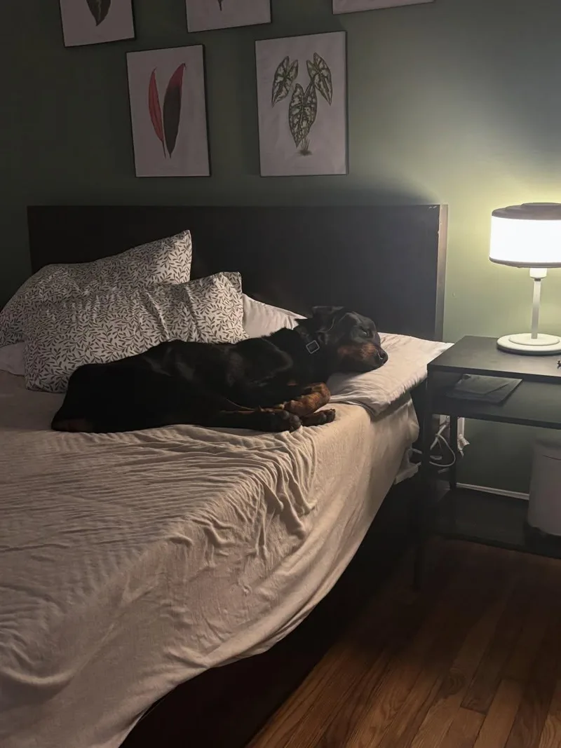 Duke Kirby thumbnail 3