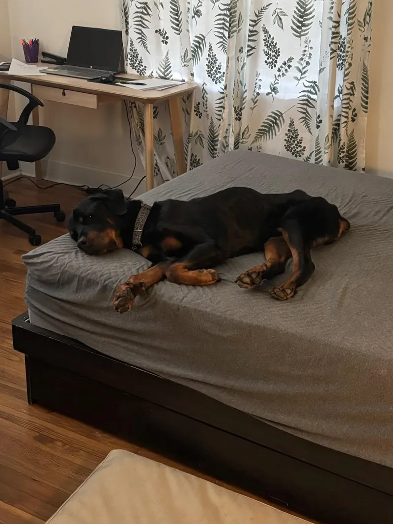 Duke Kirby thumbnail 4