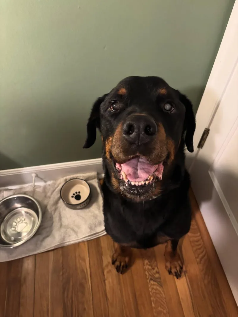 Duke Kirby thumbnail 5