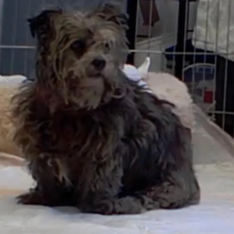 Elley thumbnail 2