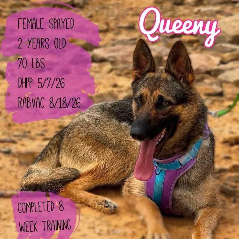 Queen