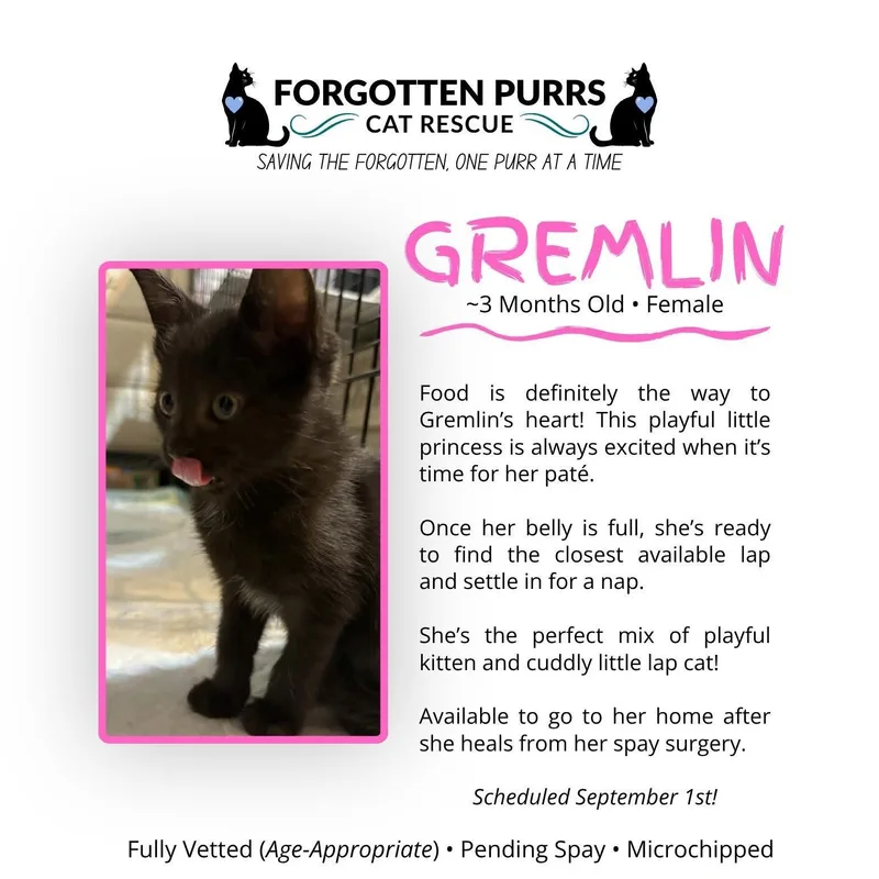 Gremlin