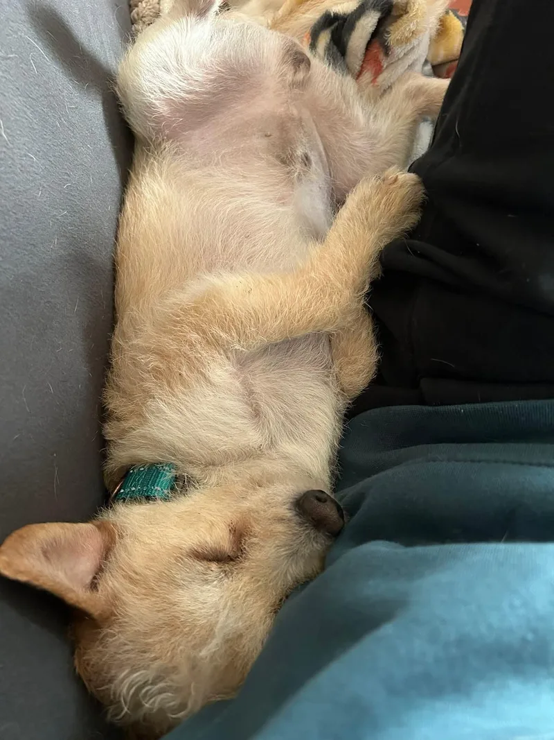 River    thumbnail 2