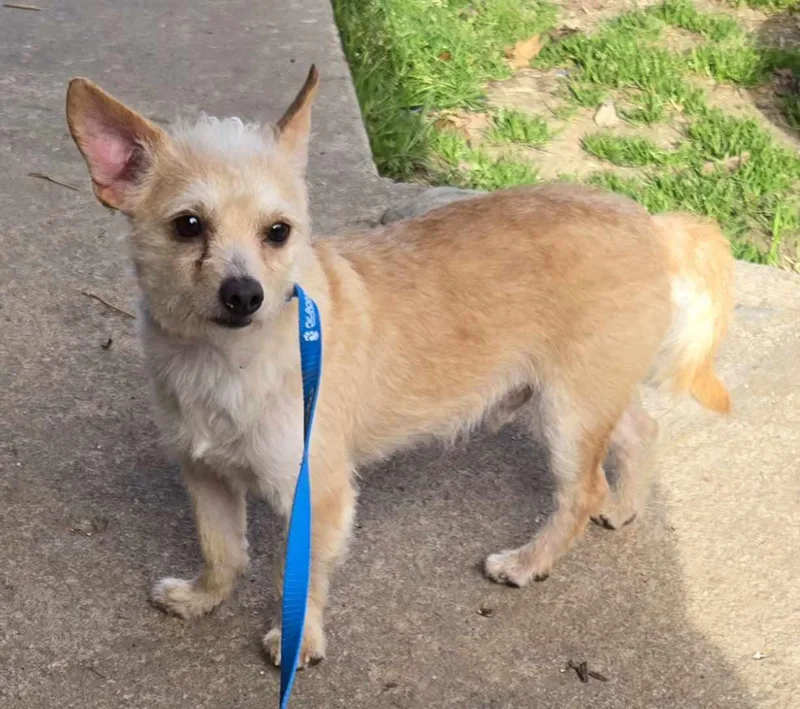 River    thumbnail 3