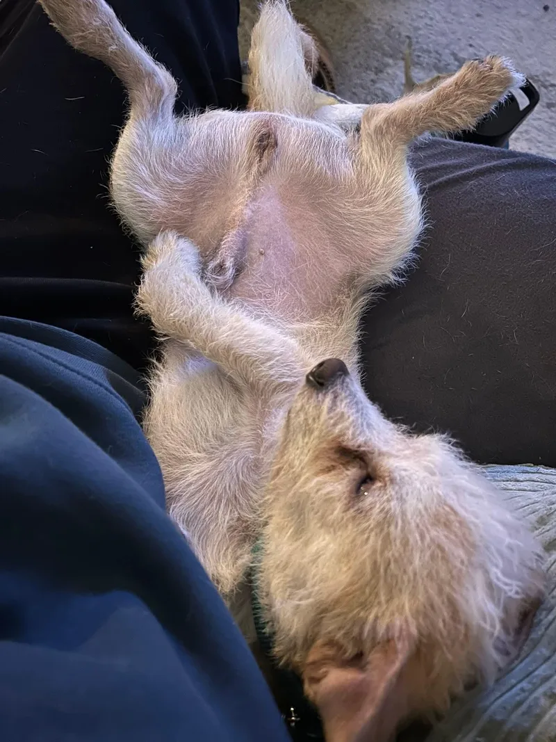 River    thumbnail 4