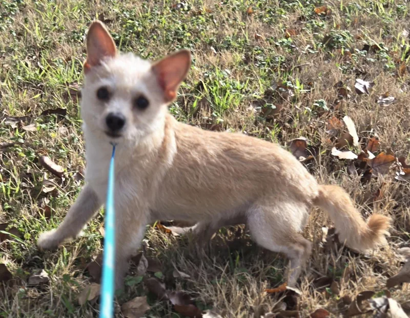 River    thumbnail 5