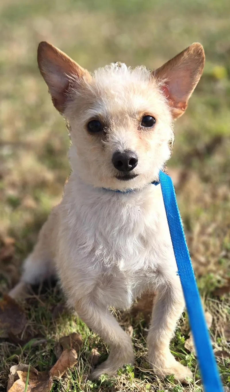 River    thumbnail 6