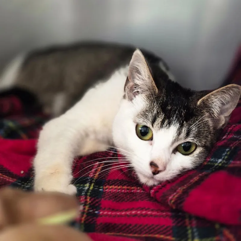 Jennifer thumbnail 2