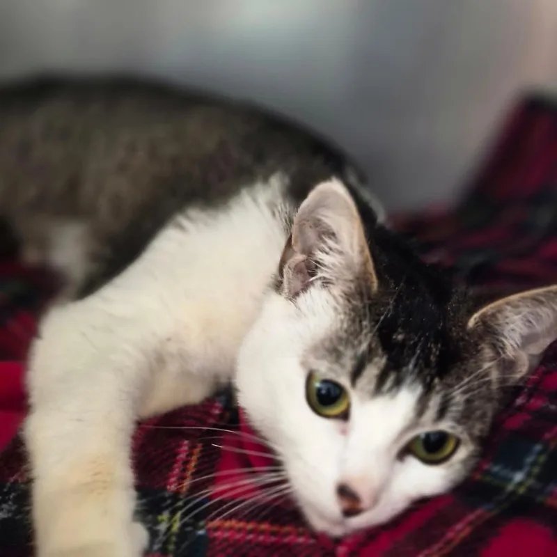 Jennifer thumbnail 3