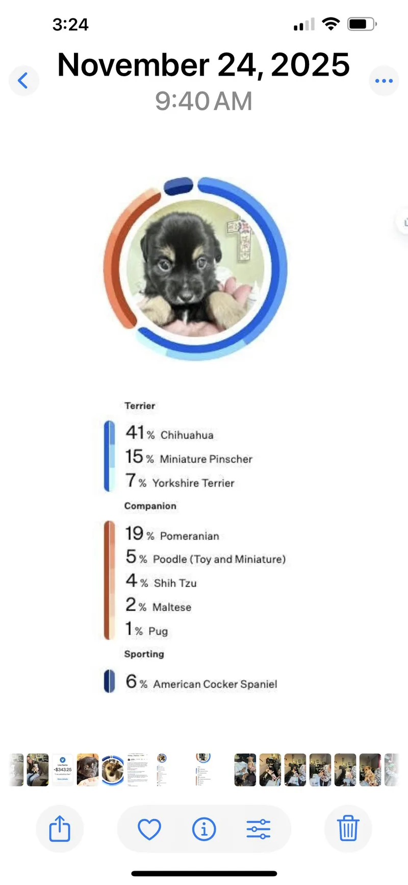 Squirt Aka Jax thumbnail 2