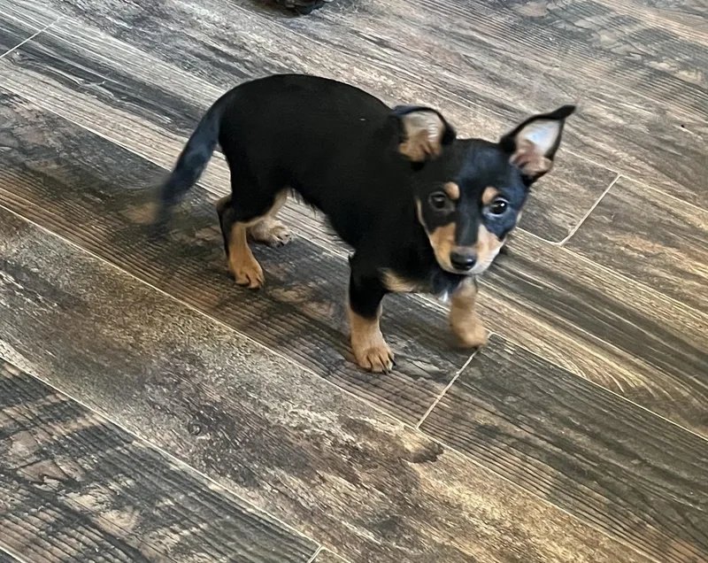 Squirt Aka Jax thumbnail 3