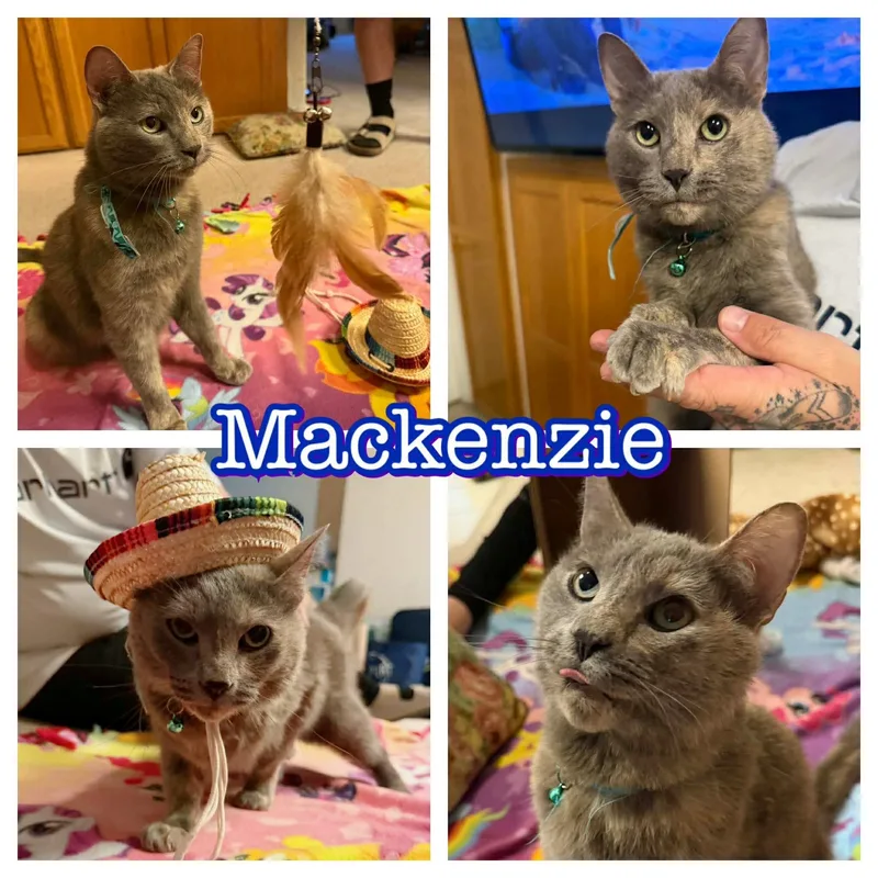 Mackenzie thumbnail 2