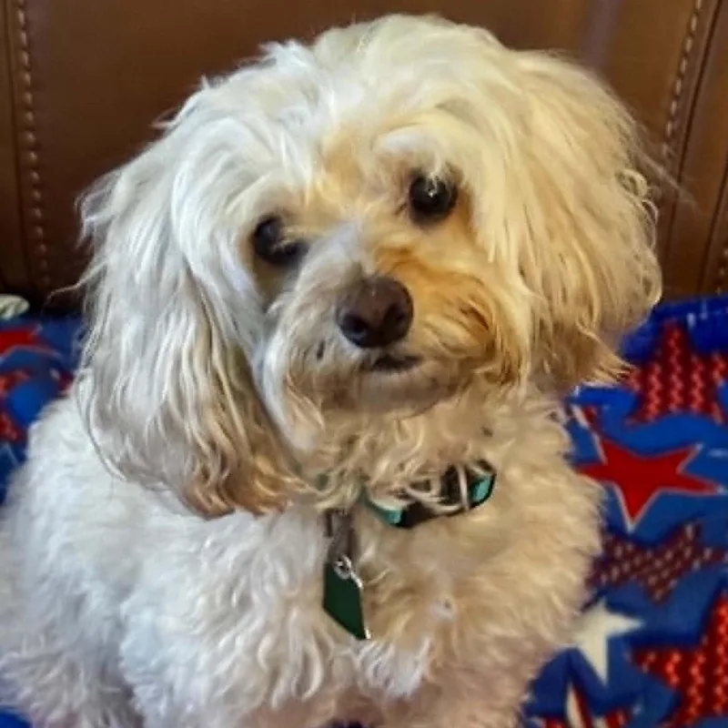 Kaylee thumbnail 6