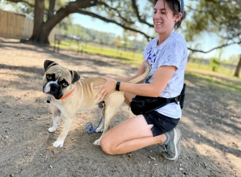 Koi The Happiest Boy thumbnail 3