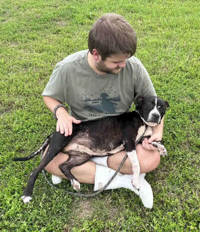 A senior medium-sized female Mixed Breed dog named Maylee for adoption in Scott, LA
