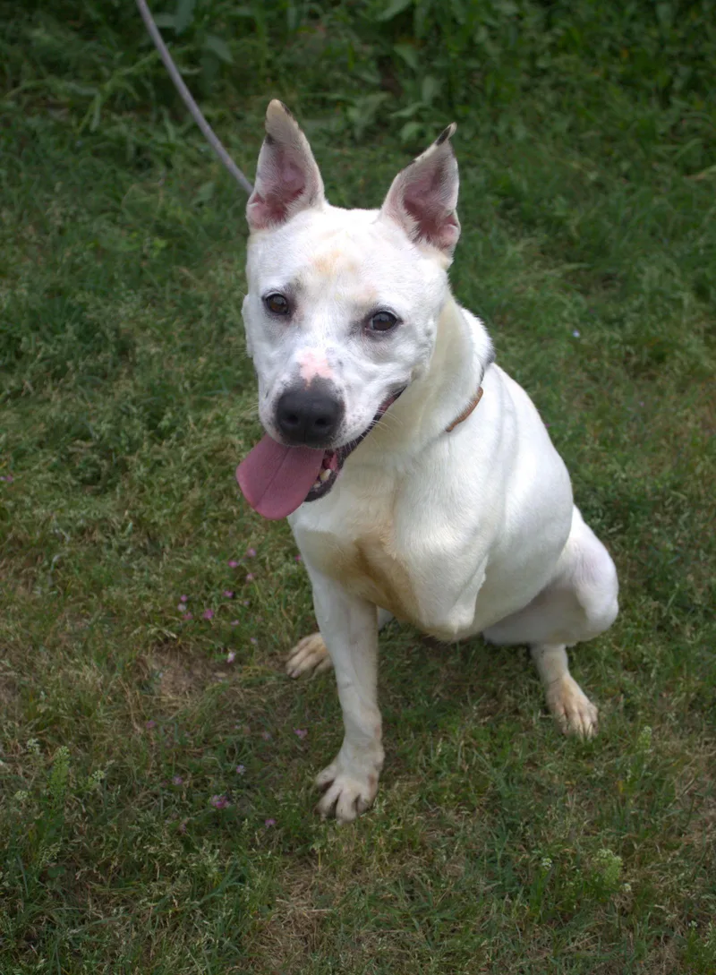 Tra La La thumbnail 2