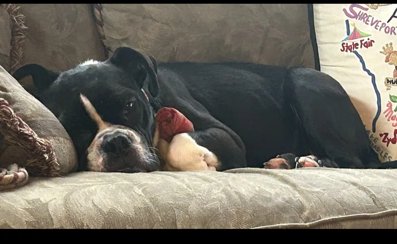 Mabelpriority!!!! thumbnail 2