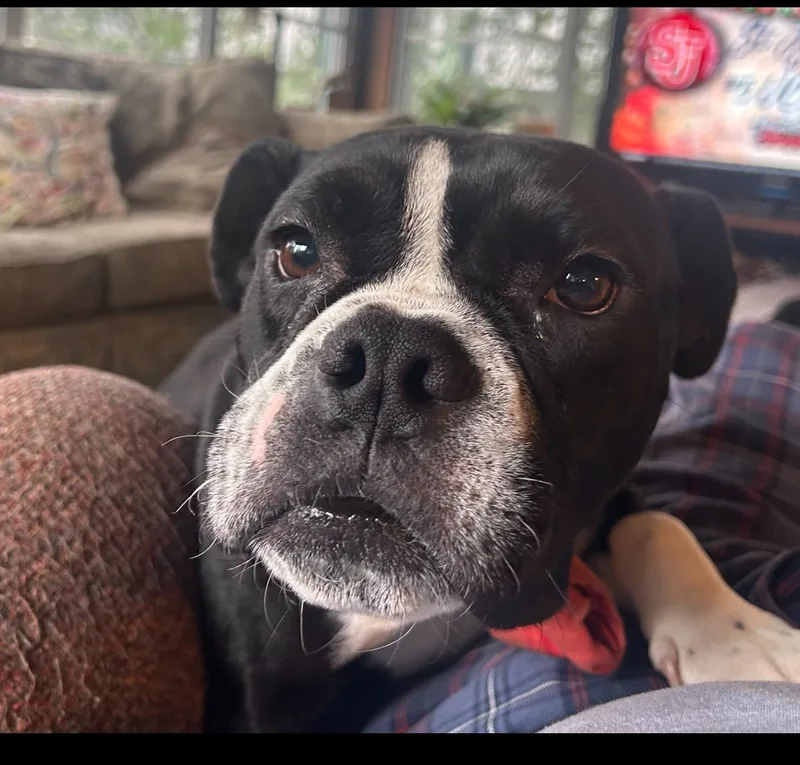 Mabelpriority!!!! thumbnail 4