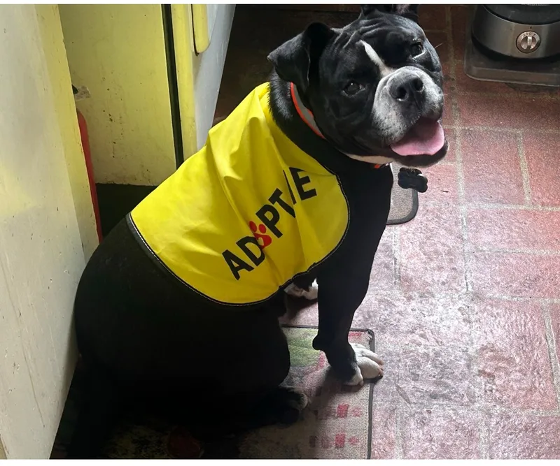 Mabelpriority!!!! thumbnail 5