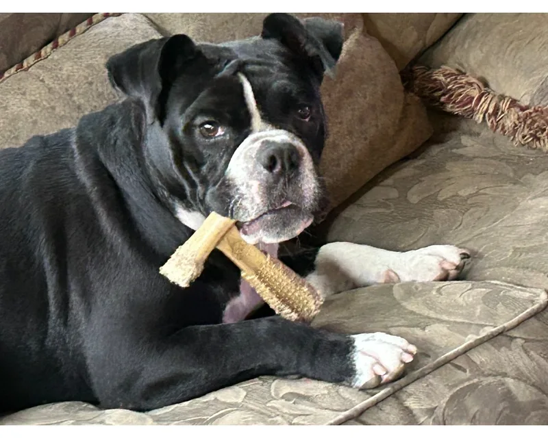 Mabelpriority!!!! thumbnail 6