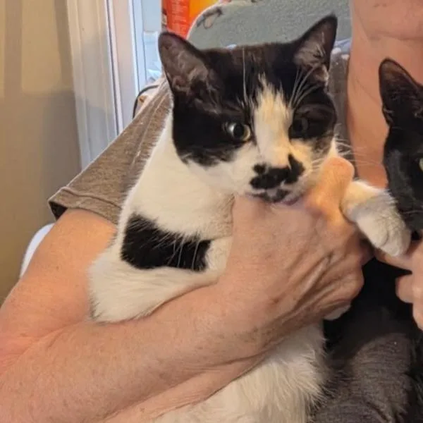 Frankie  Bonded Buddies