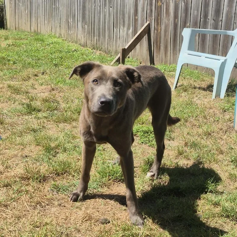 Remi