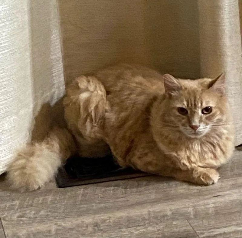 Ch  Chris thumbnail 3