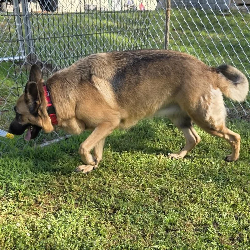 Princess thumbnail 2