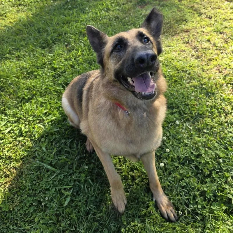 Princess thumbnail 3