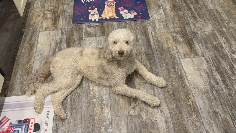 Ellie Mae thumbnail 5