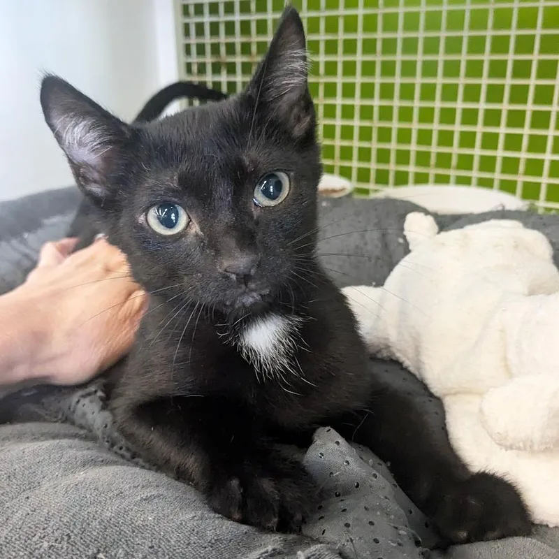 Marshall < Check Out