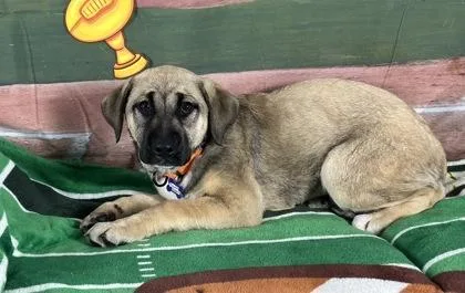 Touchdown thumbnail 2