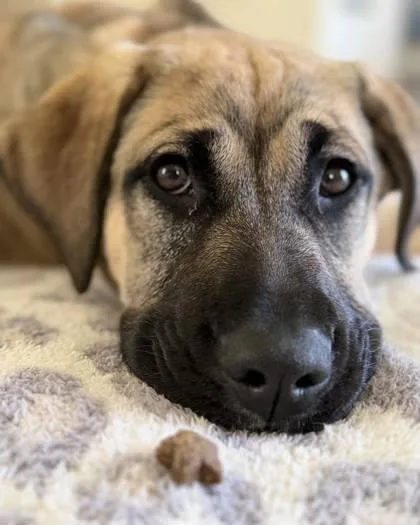 Touchdown thumbnail 3