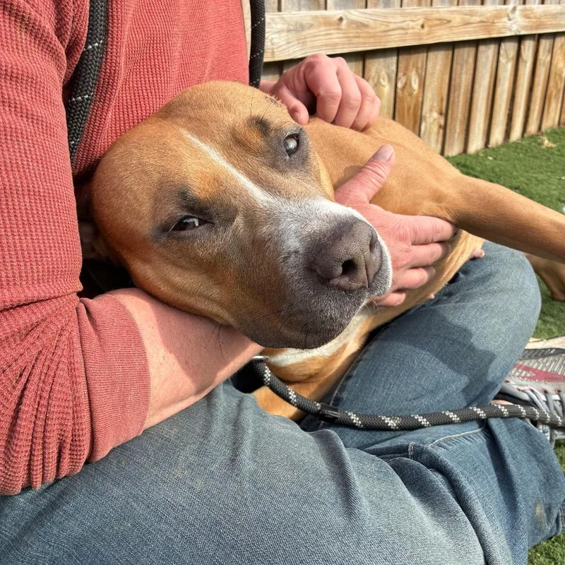 Sarasota thumbnail 2