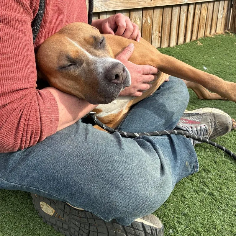 Sarasota thumbnail 3